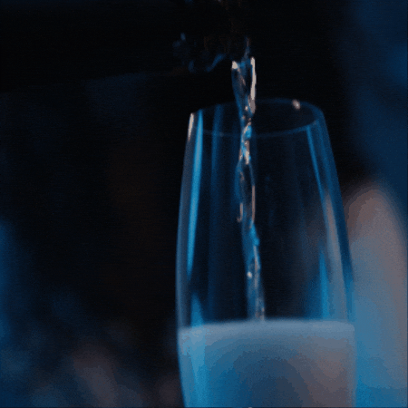 Sparkling Wine Brinde GIF by Família Salton