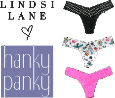 Sexy Hanky Panky Sticker by LINDSI LANE STYLE