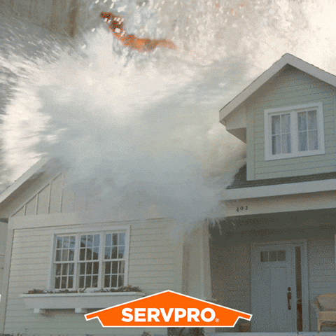 SERVPROIndustries giphyupload home water damage servpro GIF