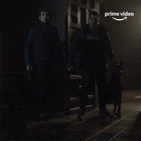 Ver Amazon Prime Video GIF by Prime Video España