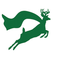 jumpingfencesforever bhm berkeley bhm2025 berkeleyhalfmarathon Sticker