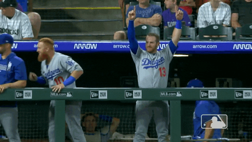 Los Angeles Dodgers Sport GIF by MLB