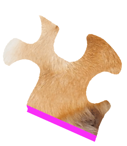 Puzzle Shiba Sticker