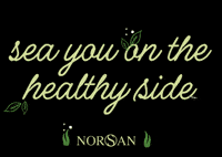 Supplements Omega3 GIF by NORSAN