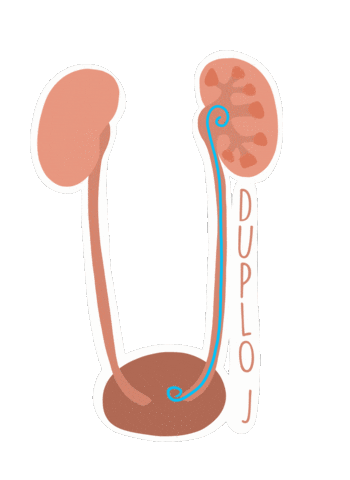 Hospital Medico Sticker