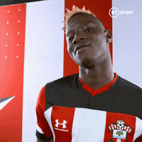 Premier League Football GIF by BT Sport