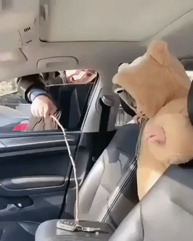 GifVif giphyupload pass me the keys son GIF