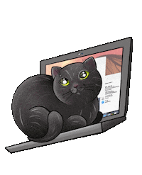 Cat Meow Sticker