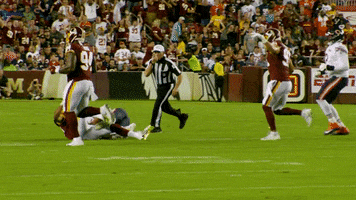 Washington Football Team GIF by Washington Commanders