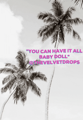 thevelvetdrops hustle mindset bossbabe babydoll GIF