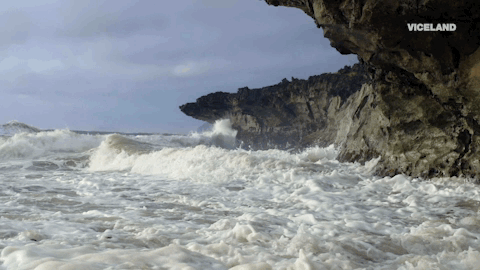 viceland GIF by RISE