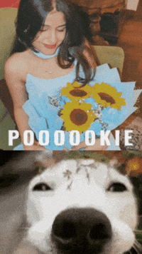 Cutie Saloni GIF