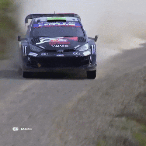 On My Way Chile GIF by FIA World Rally Championship