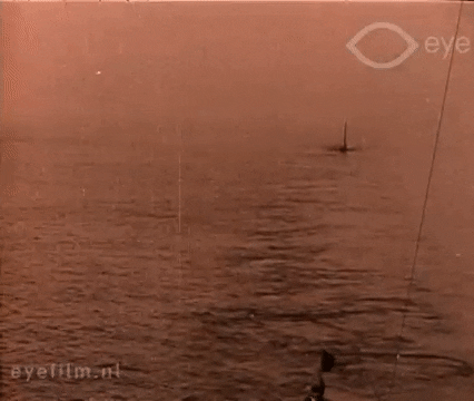 Us Navy Gifitup2019 GIF by GIF IT UP