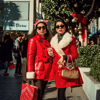 echo_echo_studio christmas holidays ai california GIF