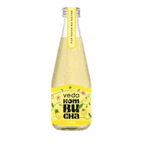 vedakombucha kombuchadrink vedakombucha kombuchapiña vedakombuchapiña Sticker