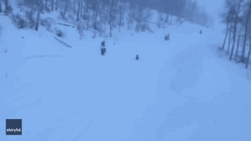 Skier in Chairlift Passes Bear Trudging Up Colorado Slope