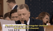 news impeachment impeachment inquiry kurt volker GIF