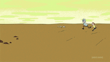 adult swim GIF by Rick and Morty
