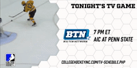 GIF by College Hockey Inc.