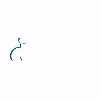truvella bunny rabbit coelho truvella GIF