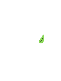Lenajarts green leaf leaves trees Sticker