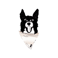 Dog Hund Sticker by ZOECA jewelry