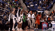 accsports  GIF