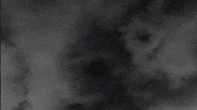 Hooligan Arirang GIF