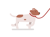 Redbearddogtraining Sticker by Red Beard