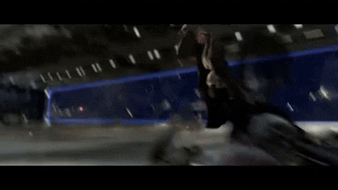 bobtheowl  GIF