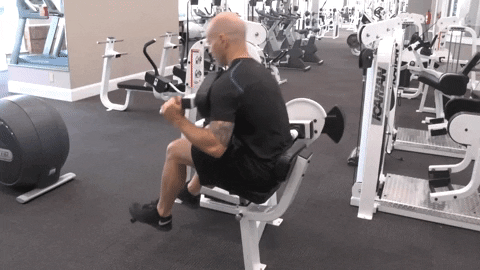 top10pulse giphyupload fitness workout structured fitness regimens GIF