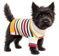 Cairn Terrier Sticker by MISTER WOOF