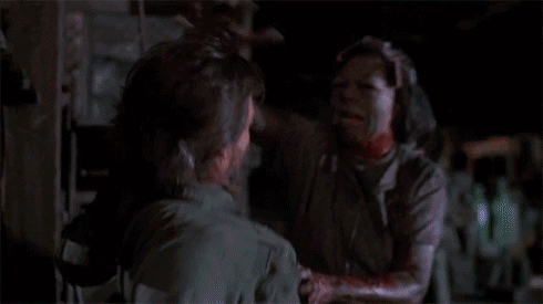 day of the dead GIF by Shudder