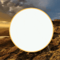 Scotland Scottish GIF by TeaCosyFolk