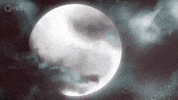 Werewolf Monstrum GIF by PBS Digital Studios