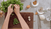 test kitchen meatballs GIF