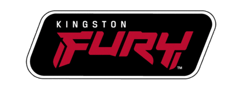 Fury Sticker by Kingston Technology