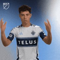 Vamos Lets Go GIF by Major League Soccer