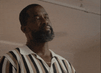 tkamseries fake fancy brand new brandnew GIF