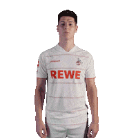 1 Fc Cologne Soccer Sticker by 1. FC Köln