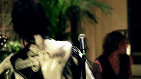 primadonna like me GIF by thestruts