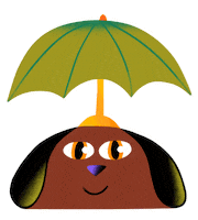 Raining Fall Season Sticker by jon hanlan