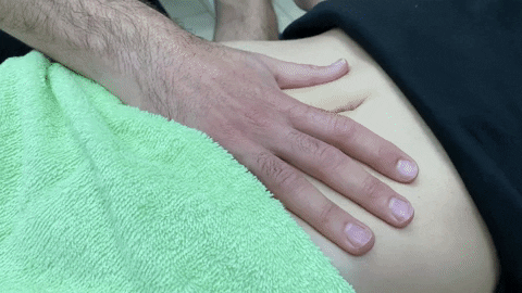 InstitutoSanum giphyupload GIF