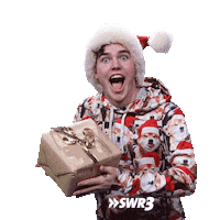 Happy Merry Christmas Sticker by SWR3