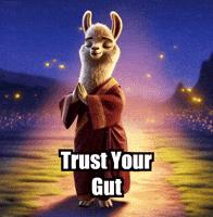 Guidance Intuition GIF by dalaillamazen