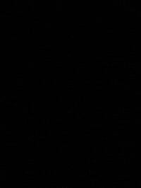 Numberi GIF