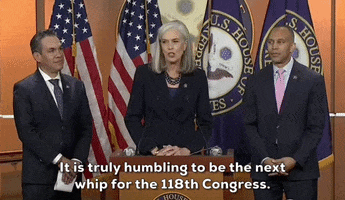 House Democrats GIF by GIPHY News