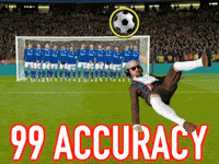 Accuracy Top Bins GIF