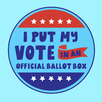 Vote Now Election 2020 GIF by Creative Courage